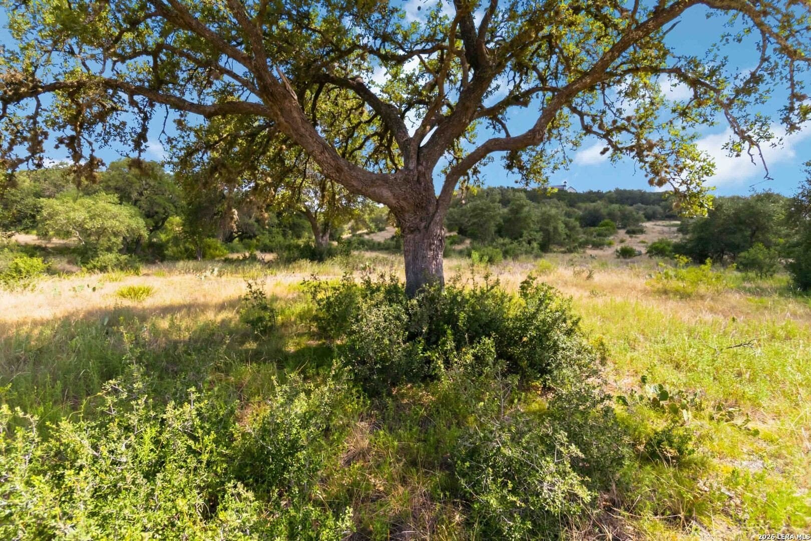 2.62 acres in Comal County - photo 13