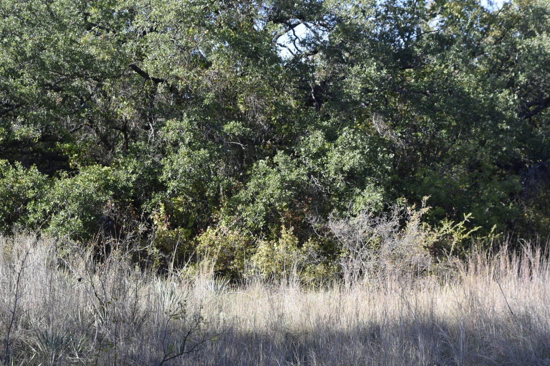 0.35 acres in Brown County - photo 25