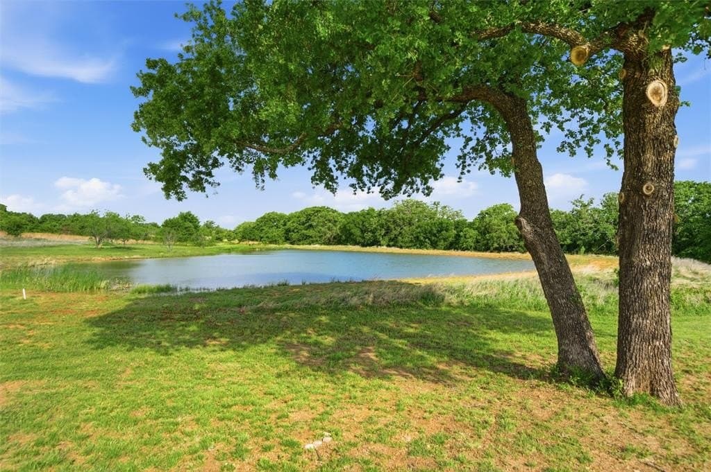 19.67 acres in Parker County gallery image 3