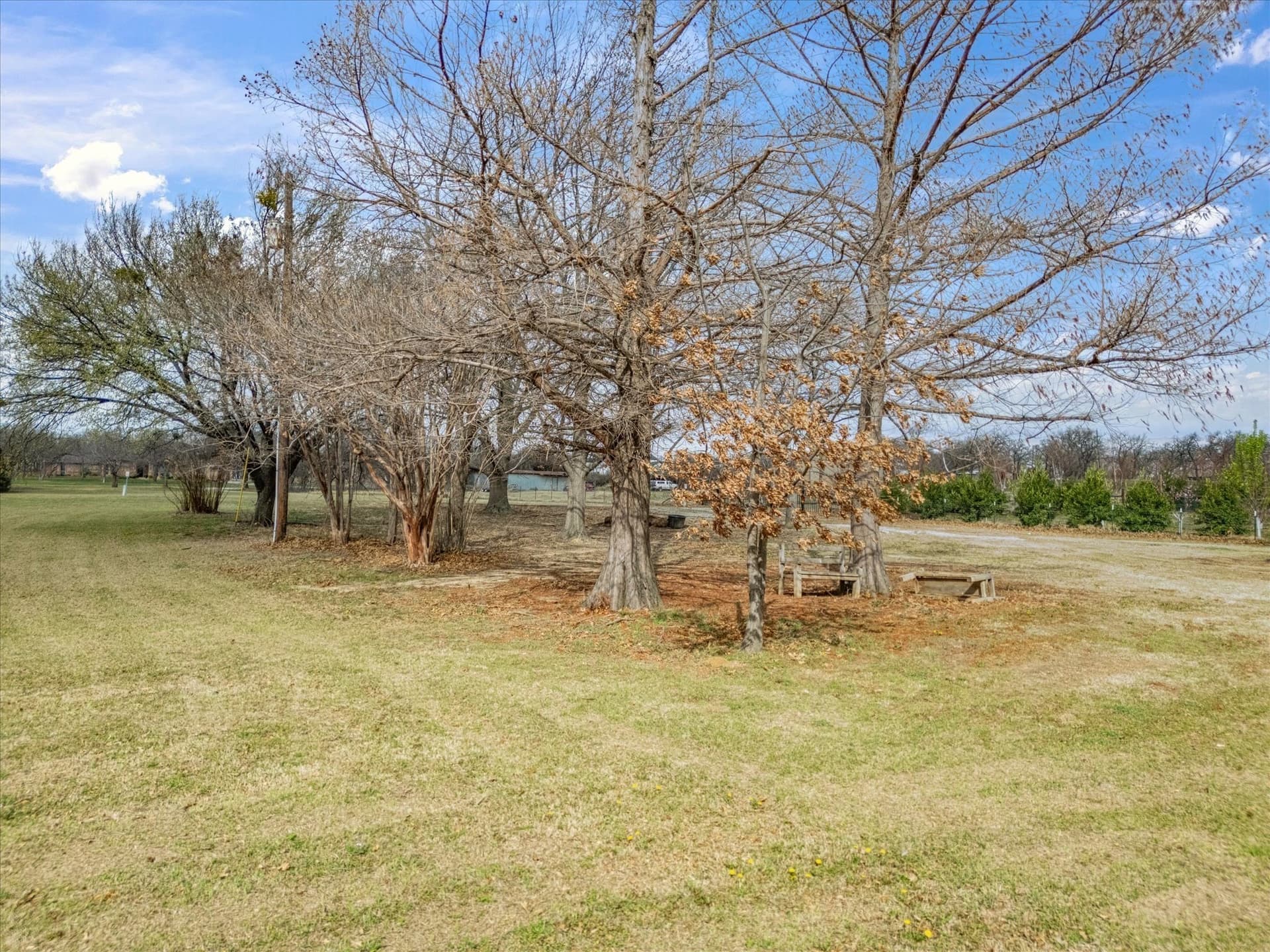 3.44 acres in Denton County - photo 13