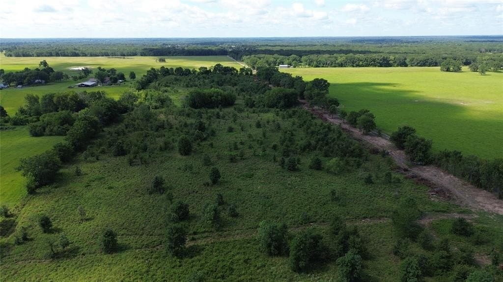 2 acres in Rains County gallery image 3