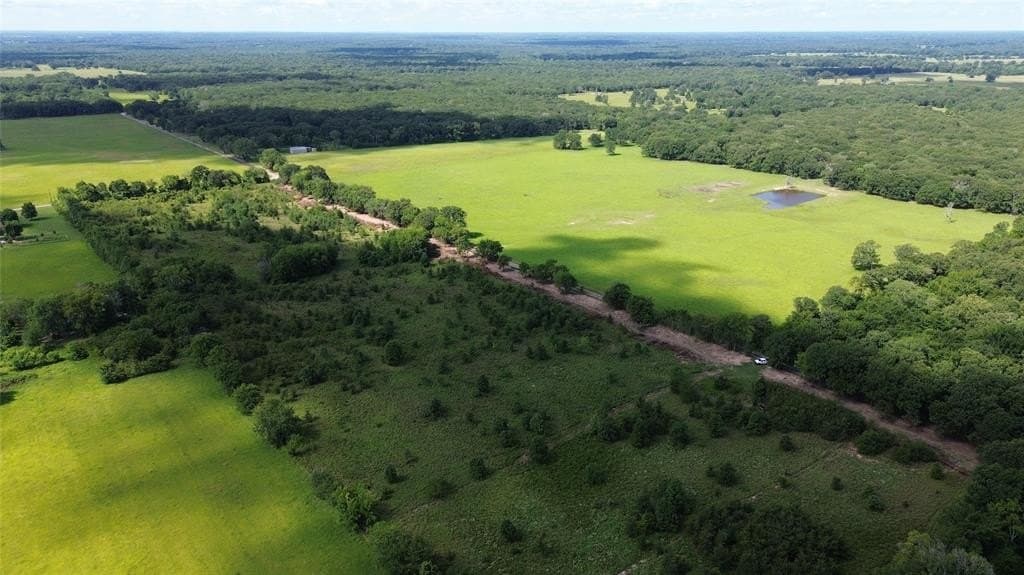 2 acres in Rains County gallery image 4