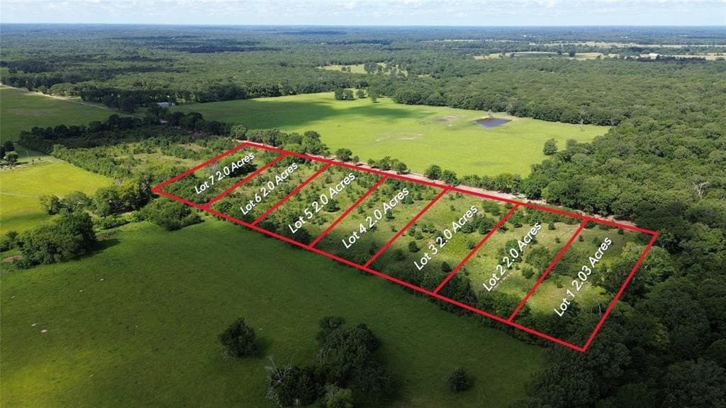 2 acres in Rains County gallery image 2