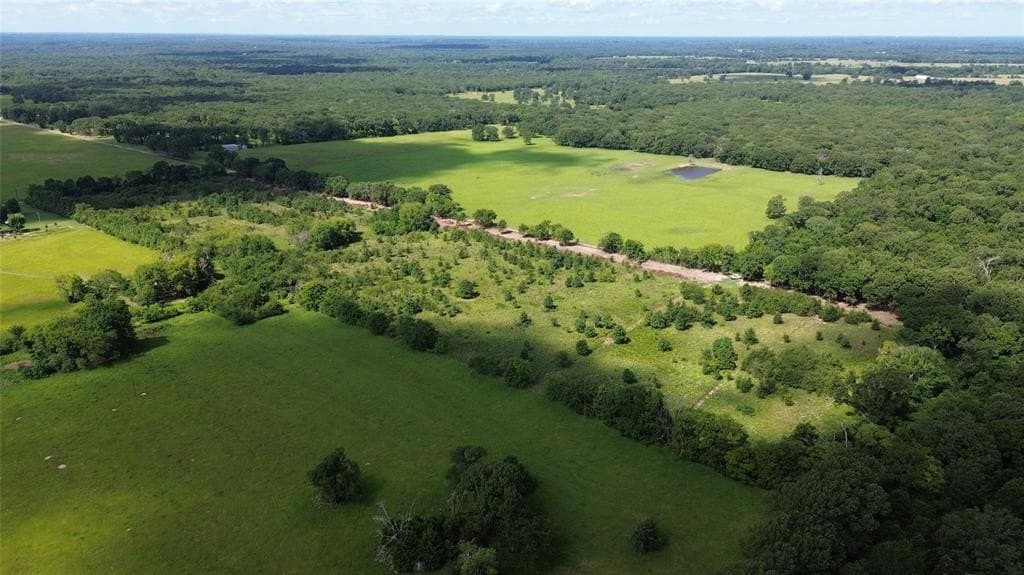 2 acres in Rains County featured view