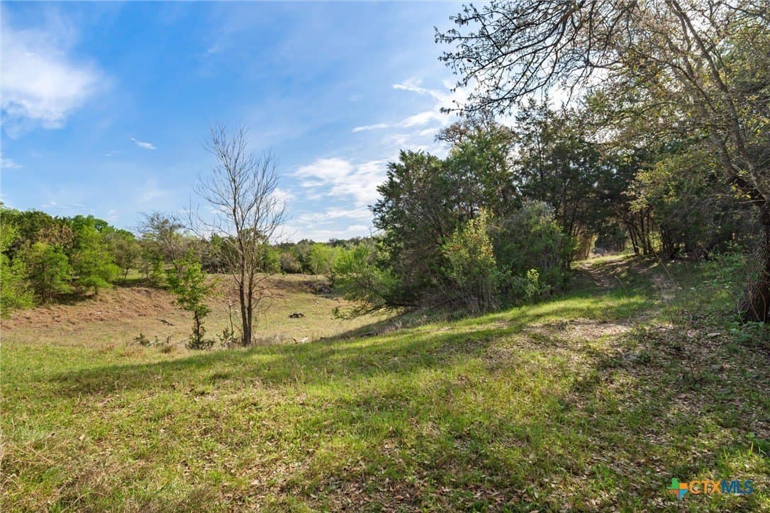 64.04 acres in Bell County featured view