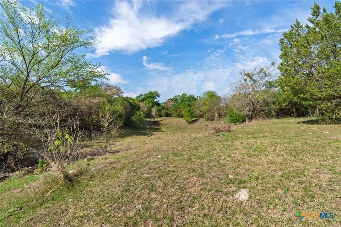 64.04 acres in Bell County - photo 6