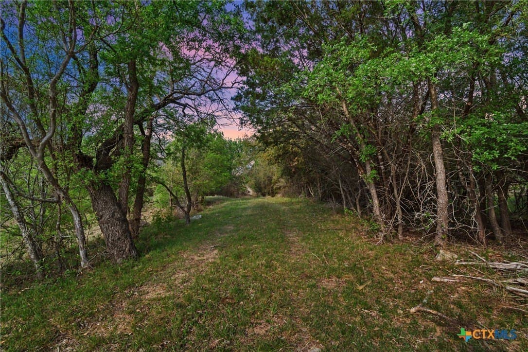 64.04 acres in Bell County gallery image 2
