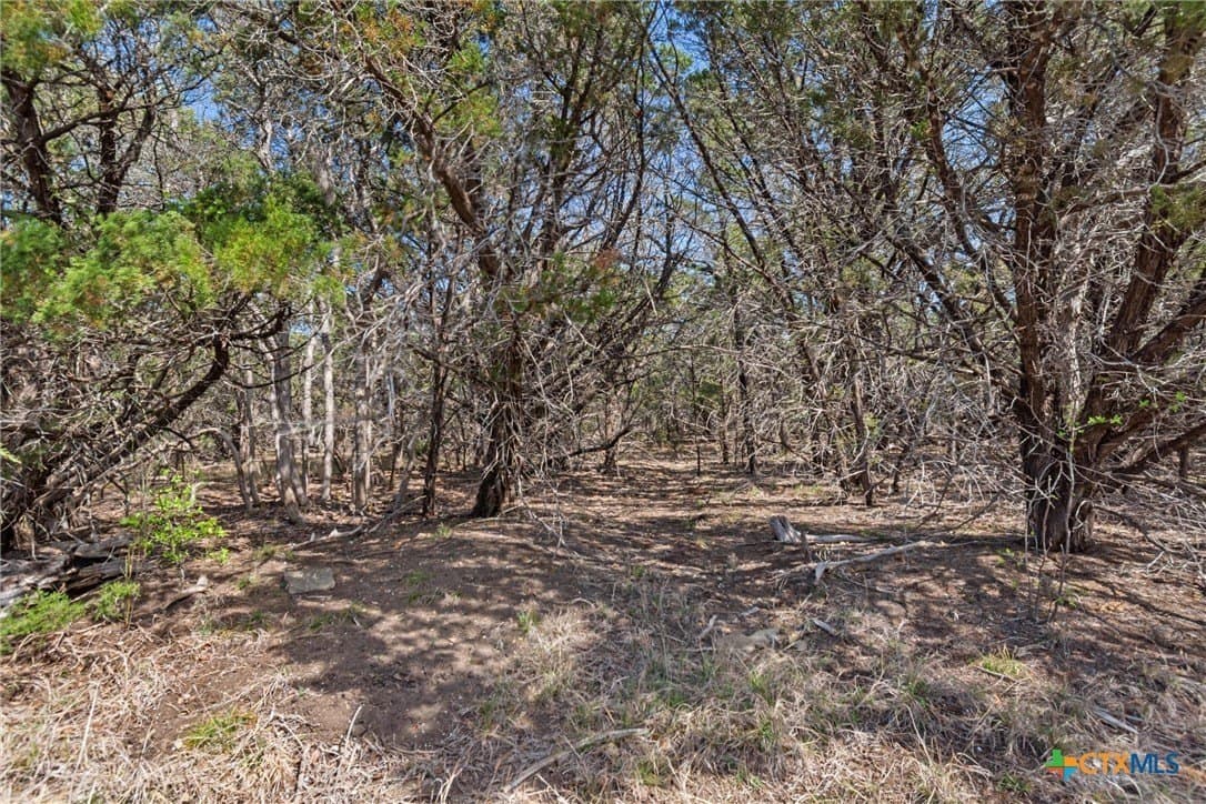 64.04 acres in Bell County - photo 11