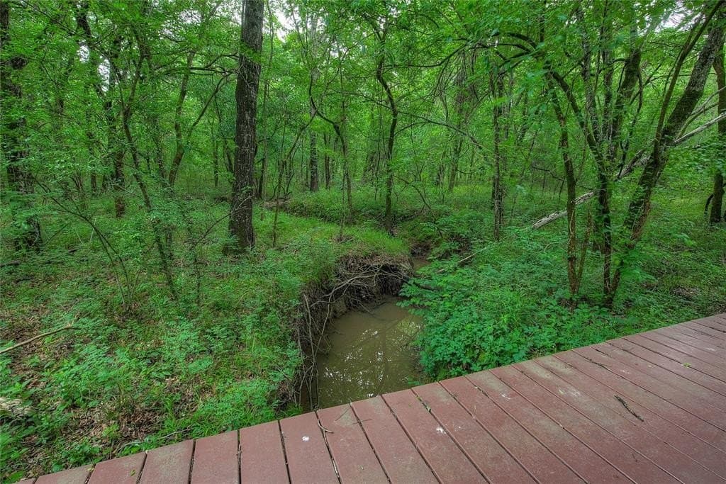 42.43 acres in Hopkins County gallery image 4