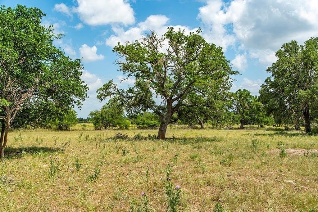 20.05 acres in Gillespie County - photo 19