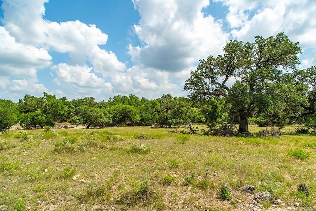 20.05 acres in Gillespie County - photo 12