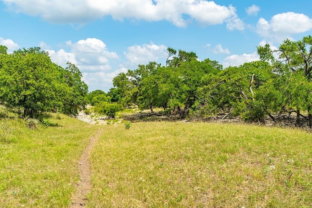 20.05 acres in Gillespie County - photo 8
