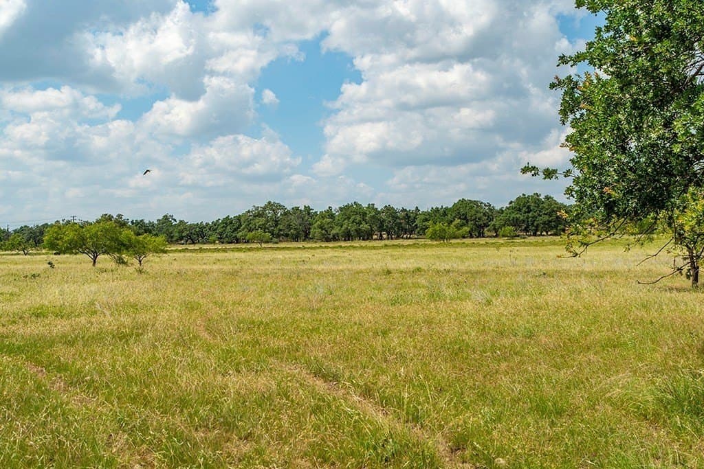20.05 acres in Gillespie County - photo 10