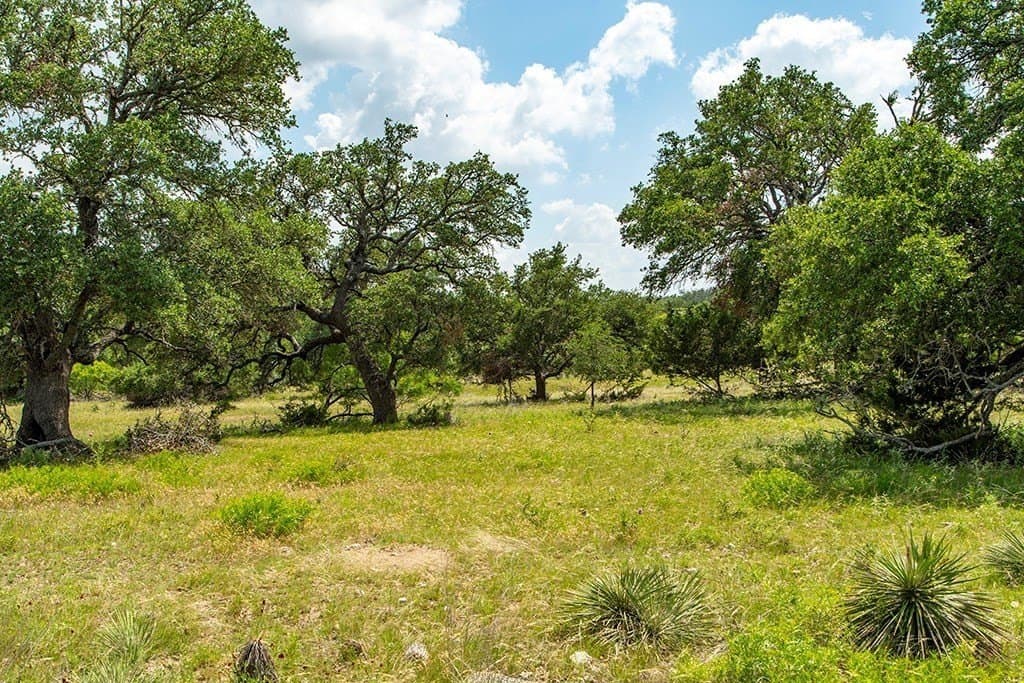 20.05 acres in Gillespie County - photo 11