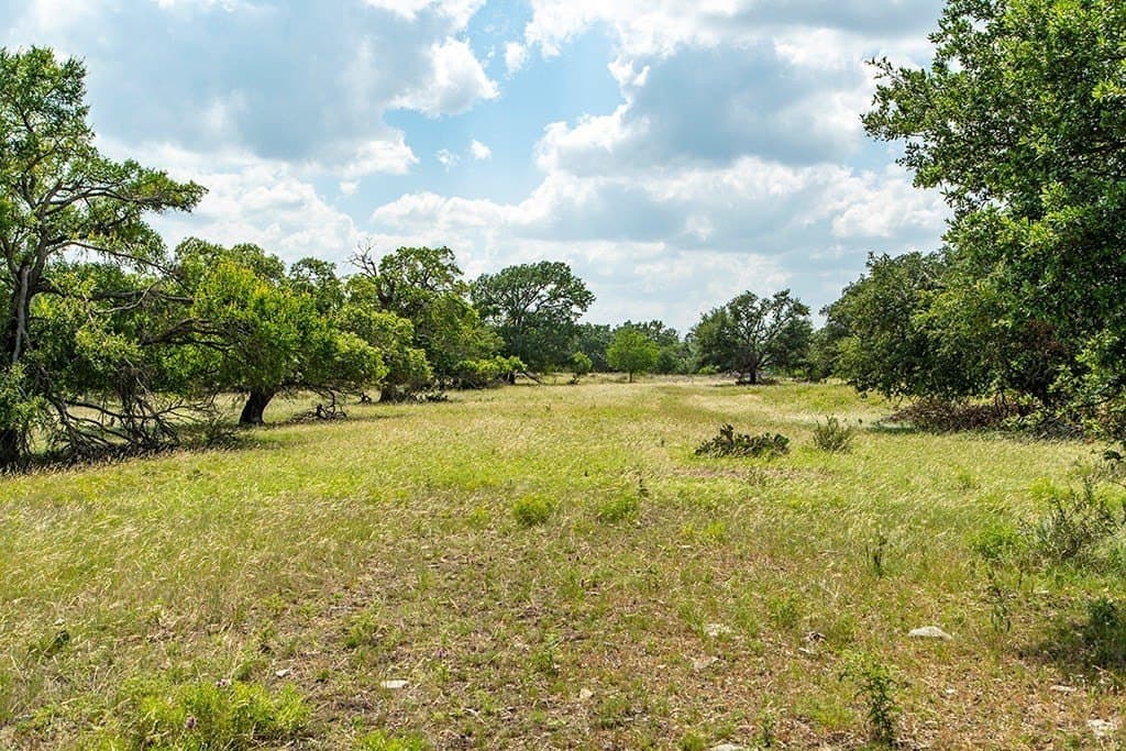 20.05 acres in Gillespie County gallery image 4