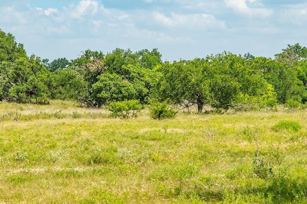 20.05 acres in Gillespie County - photo 16