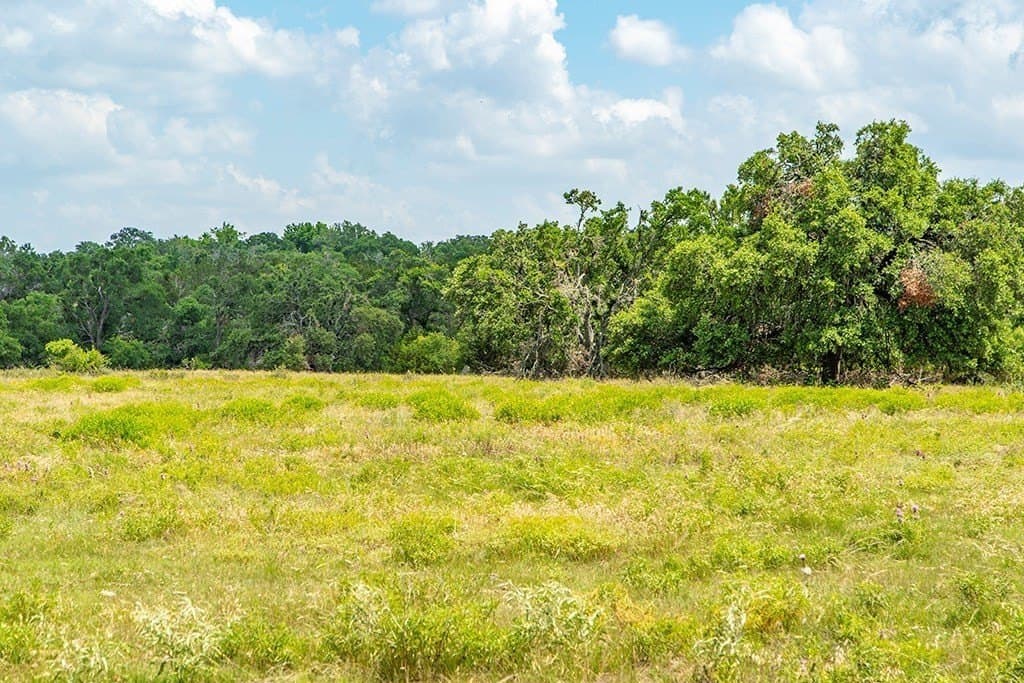 20.05 acres in Gillespie County - photo 14