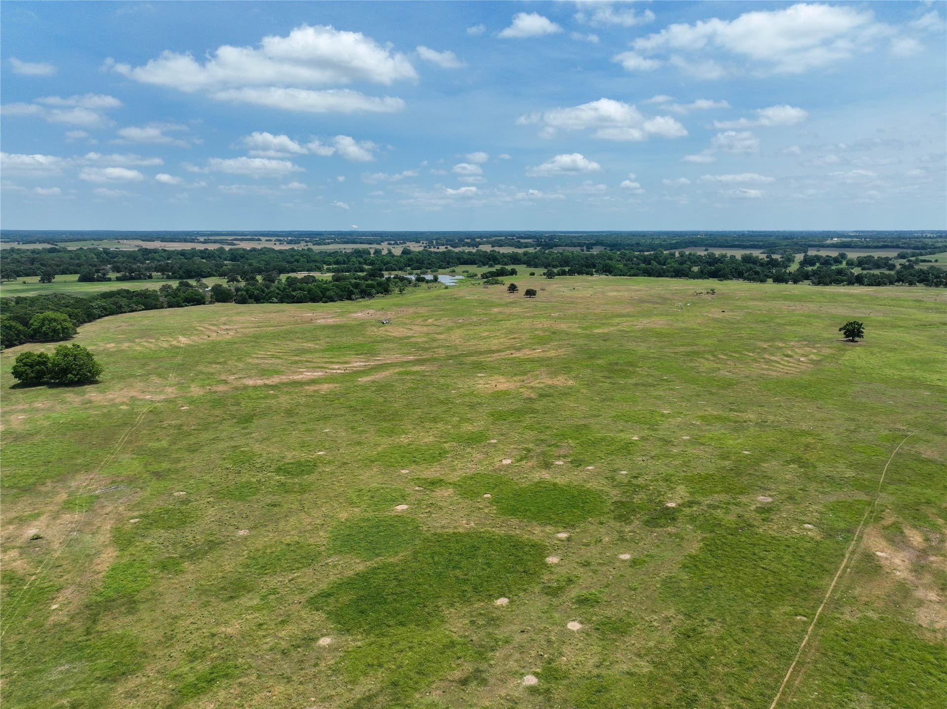 10 acres in Falls County - photo 5