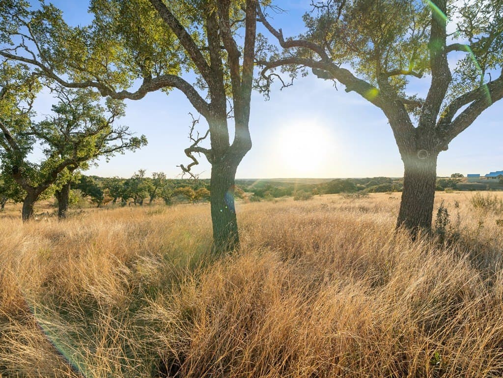 12.33 acres in Gillespie County - photo 12