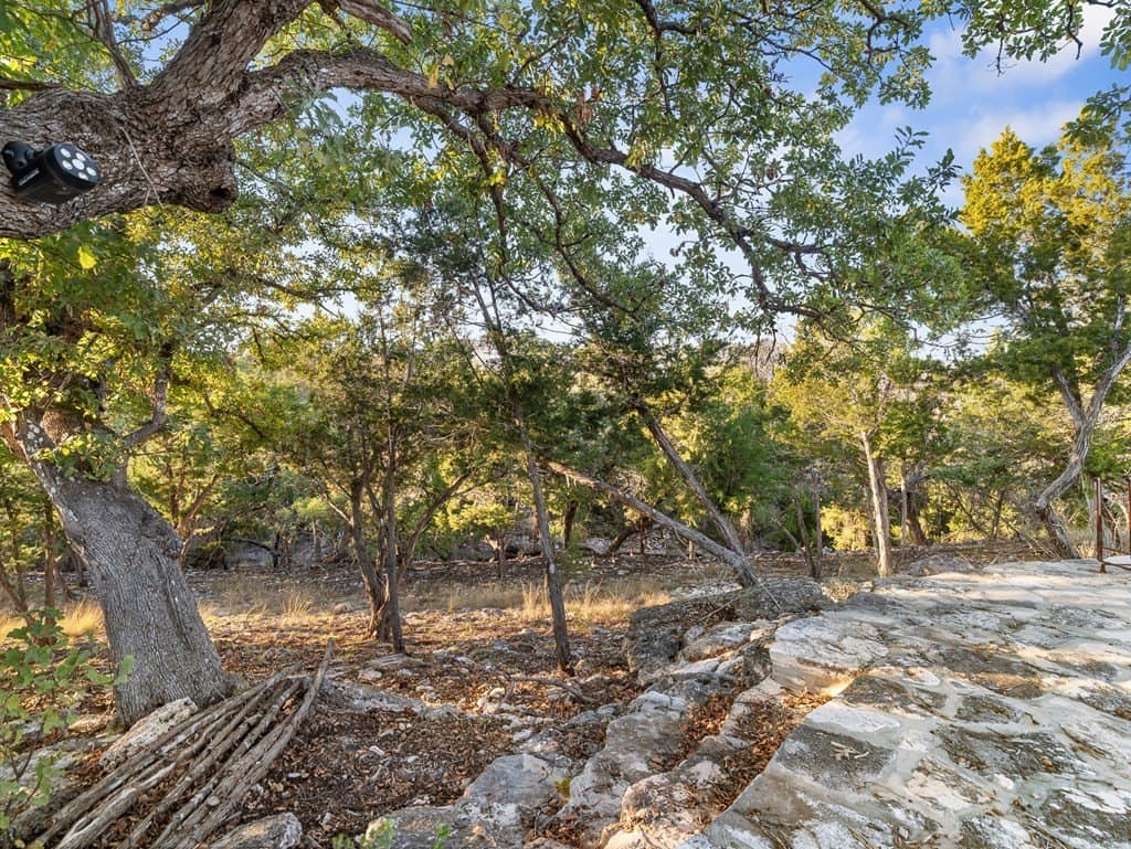 12.33 acres in Gillespie County - photo 18