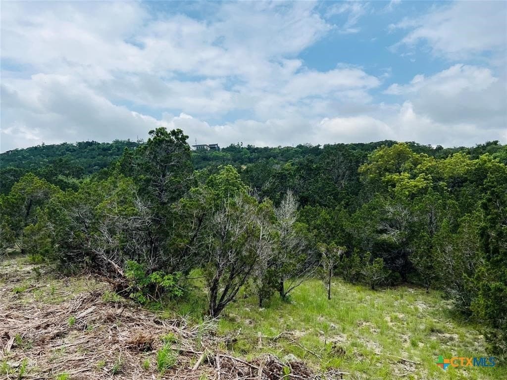 0.22 acres in Travis County - photo 18
