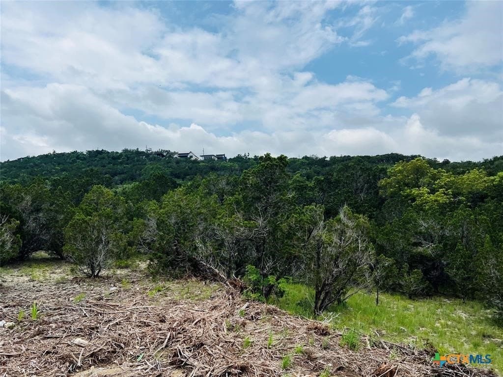0.22 acres in Travis County - photo 17