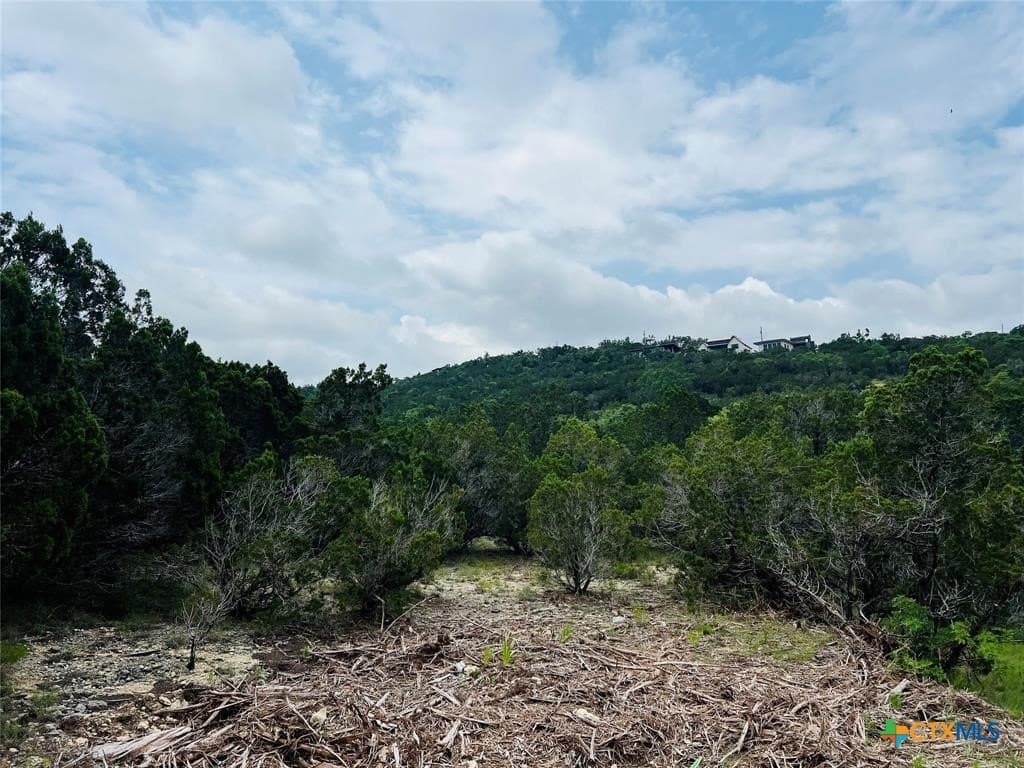 0.22 acres in Travis County - photo 16