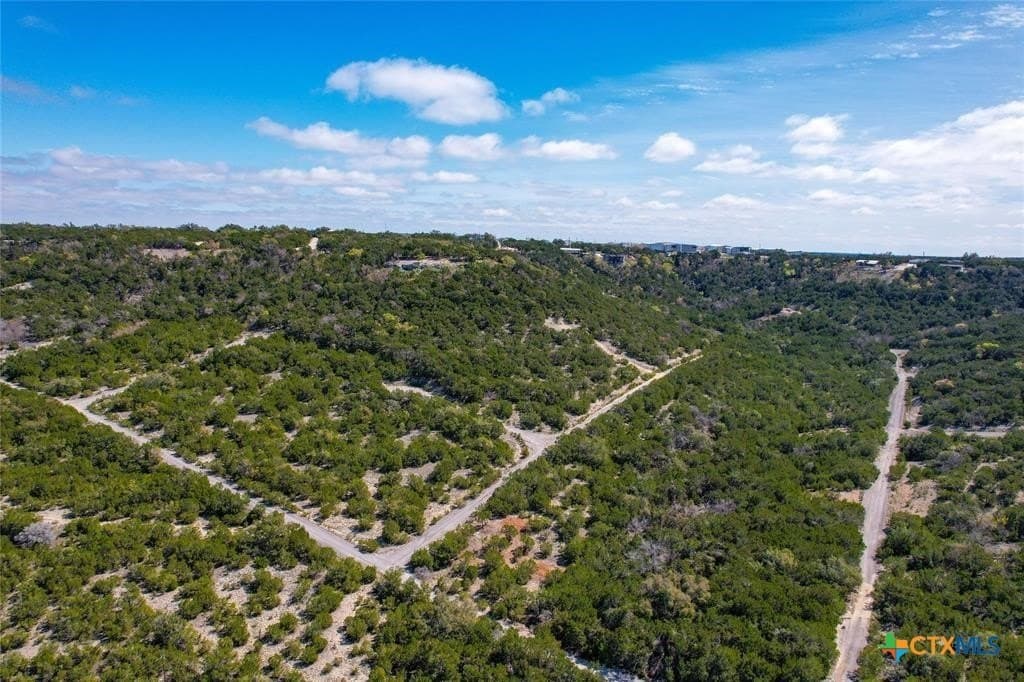0.22 acres in Travis County - photo 11