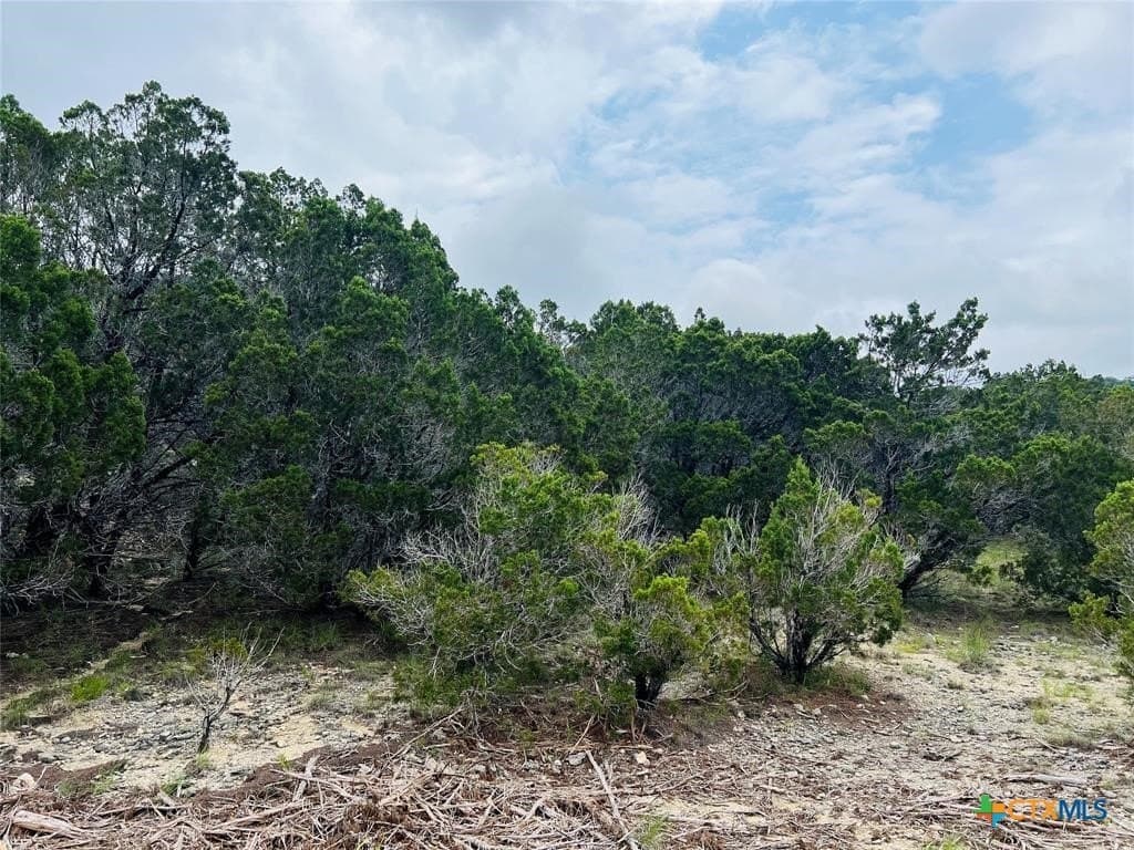 0.22 acres in Travis County - photo 3