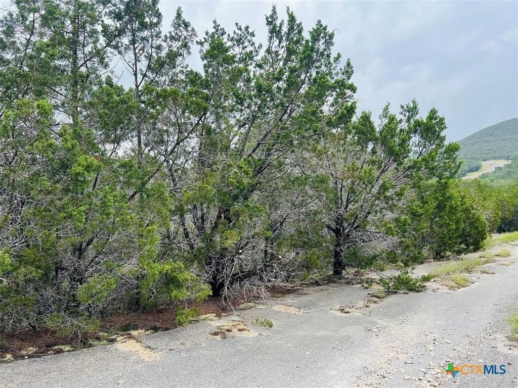 0.22 acres in Travis County - photo 19