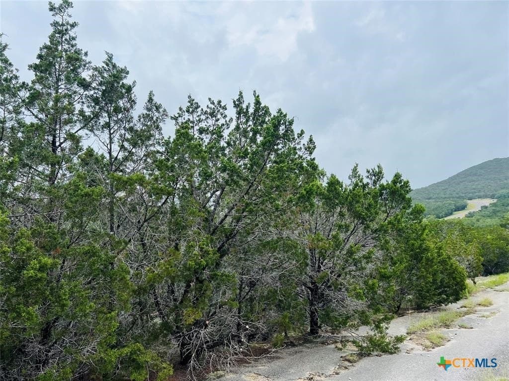 0.22 acres in Travis County - photo 6