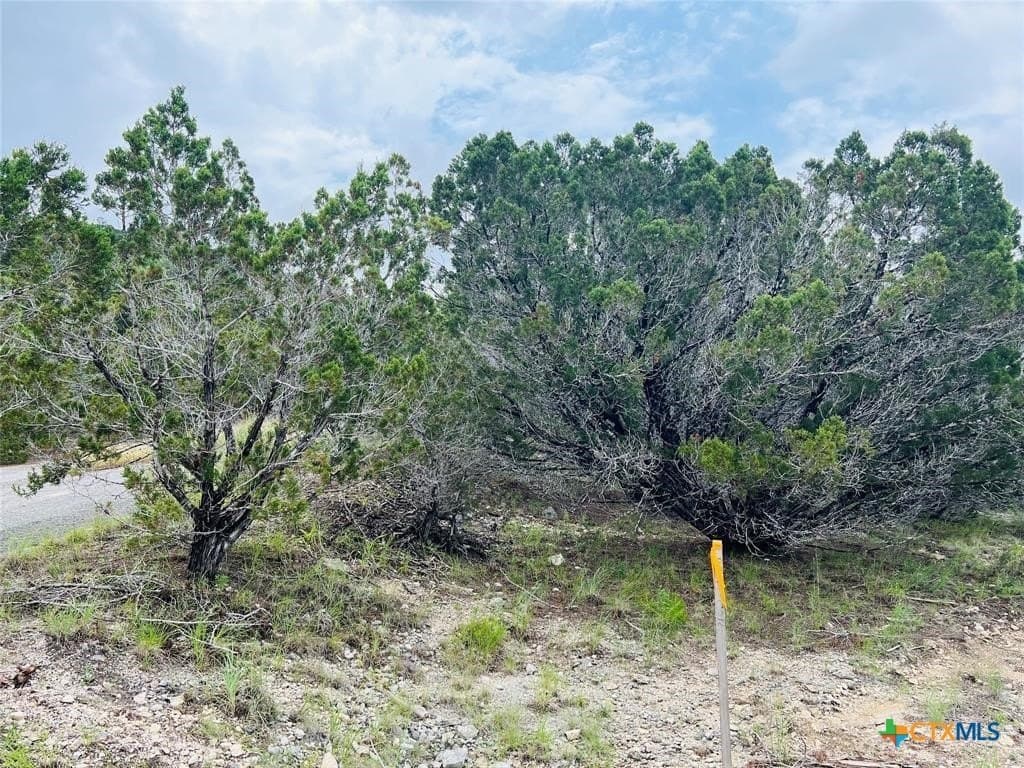 0.22 acres in Travis County - photo 4