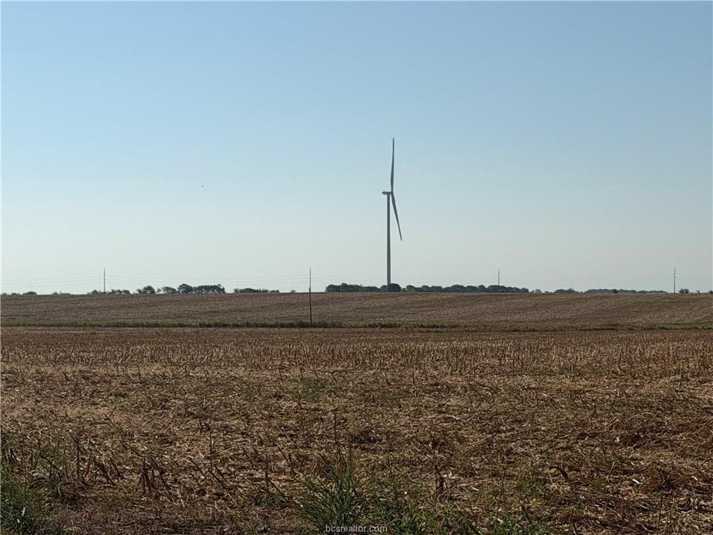 45.68 acres in Limestone County - photo 5