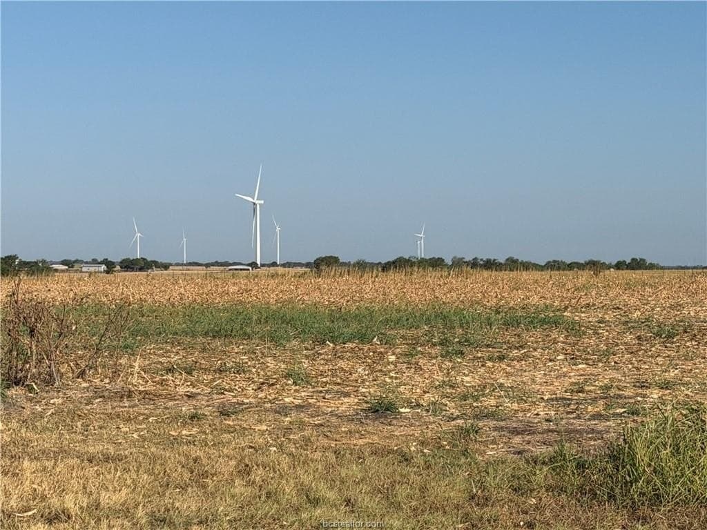 45.68 acres in Limestone County - photo 3