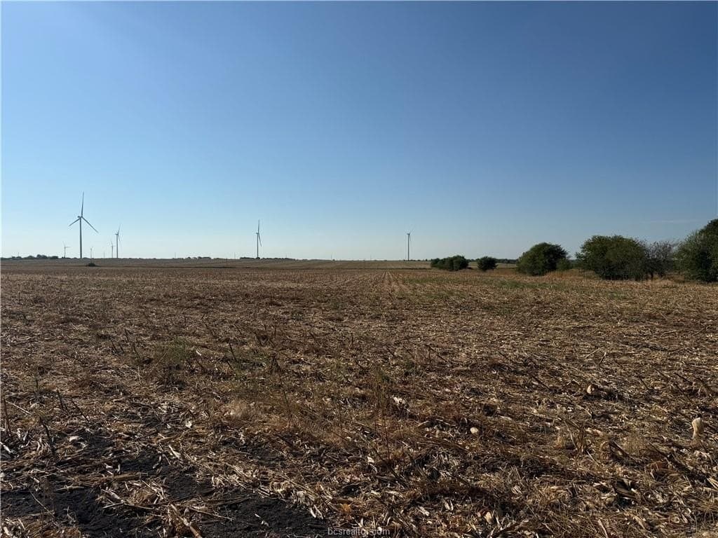 45.68 acres in Limestone County - photo 6