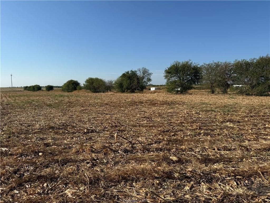 45.68 acres in Limestone County - photo 2