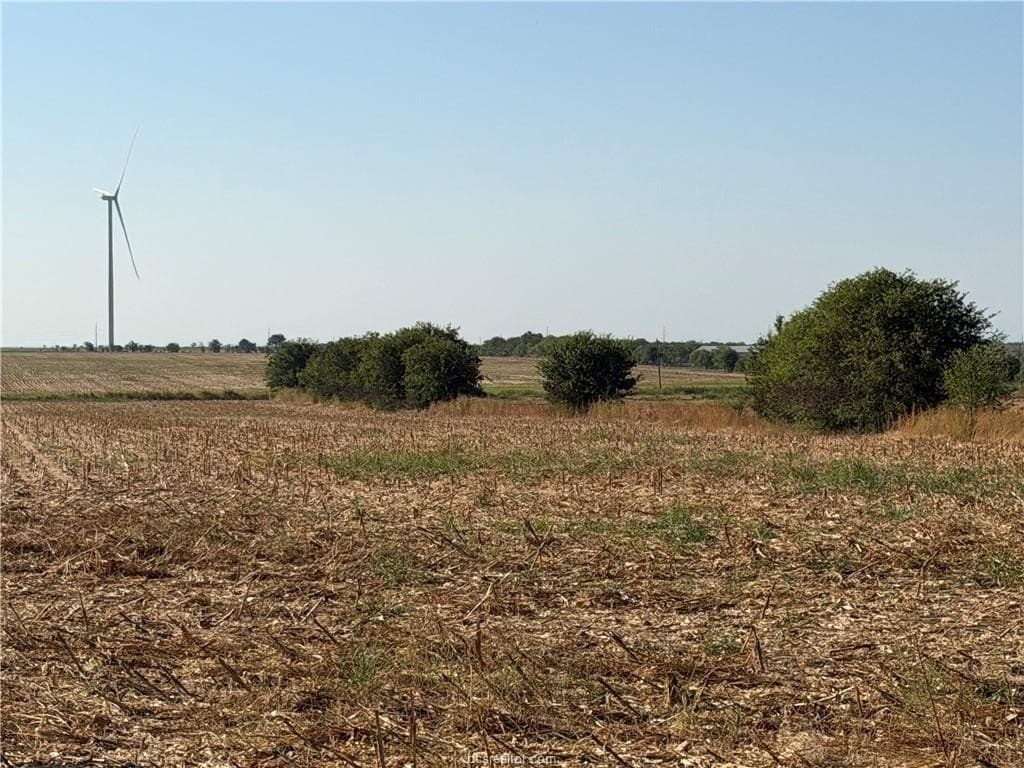 45.68 acres in Limestone County - photo 4