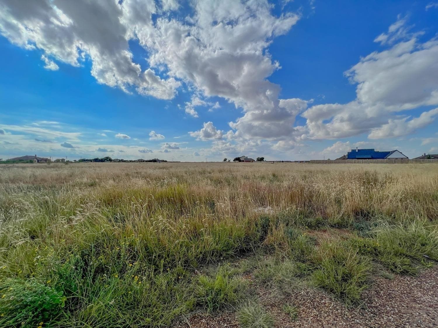 1.25 acres in Hockley County - photo 6