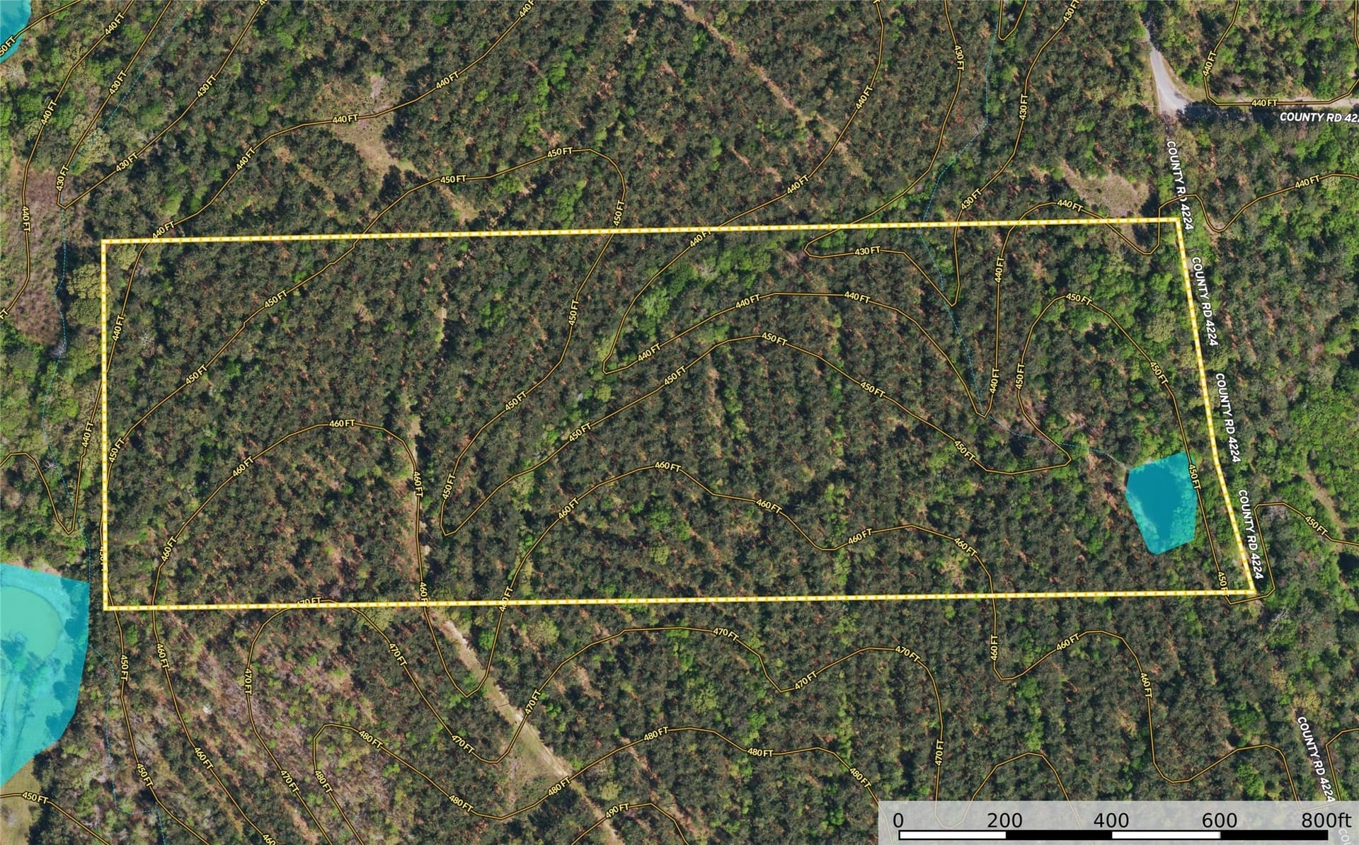 32 acres in Henderson County - photo 11