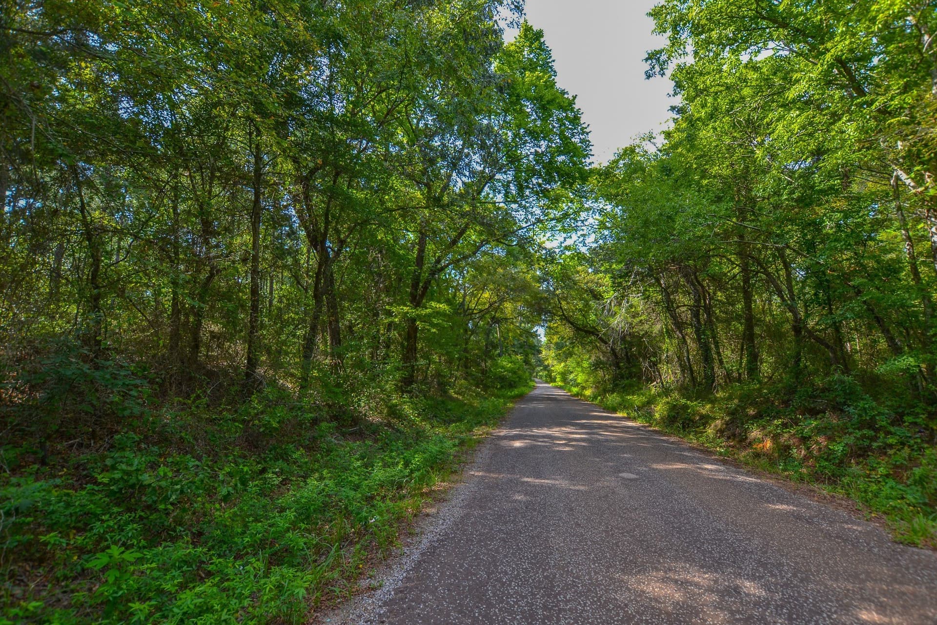 32 acres in Henderson County - photo 4