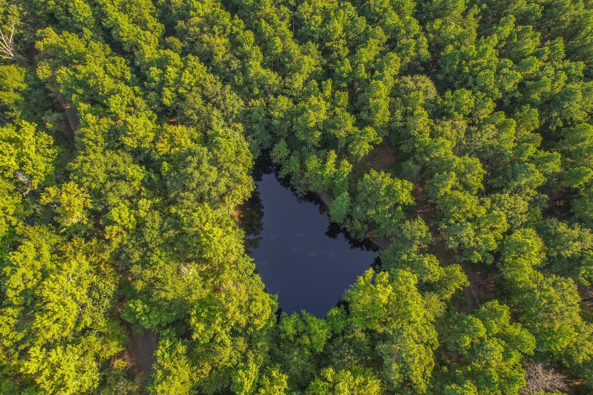 32 acres in Henderson County - photo 2