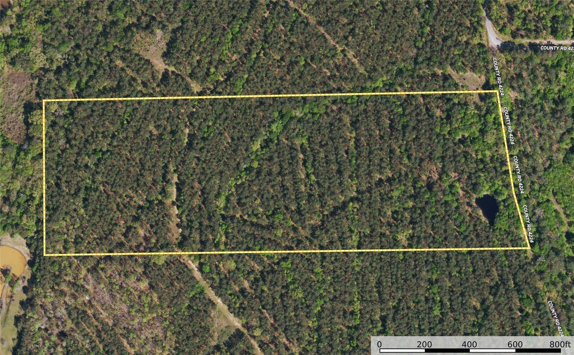 32 acres in Henderson County - photo 10