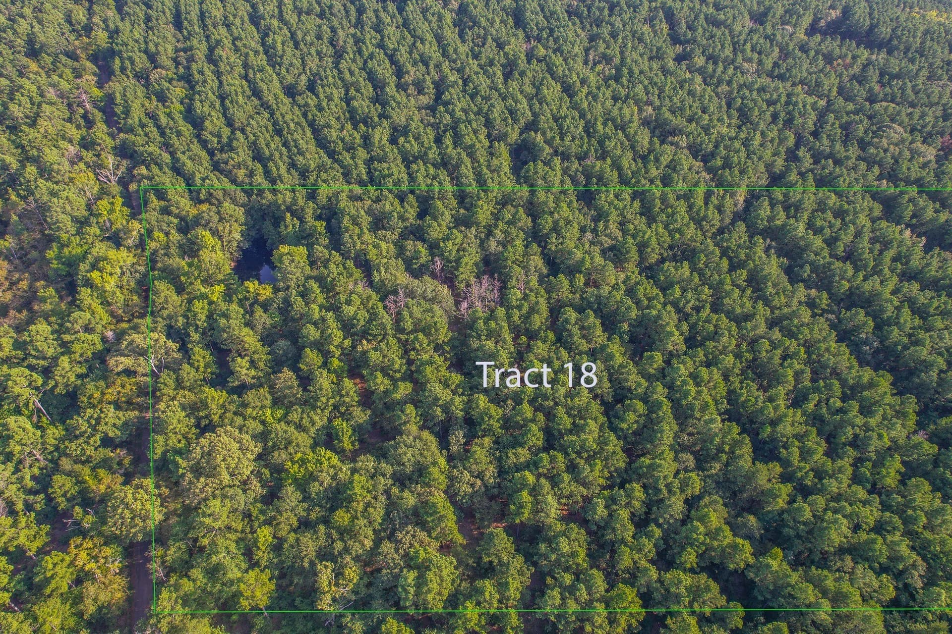 32 acres in Henderson County