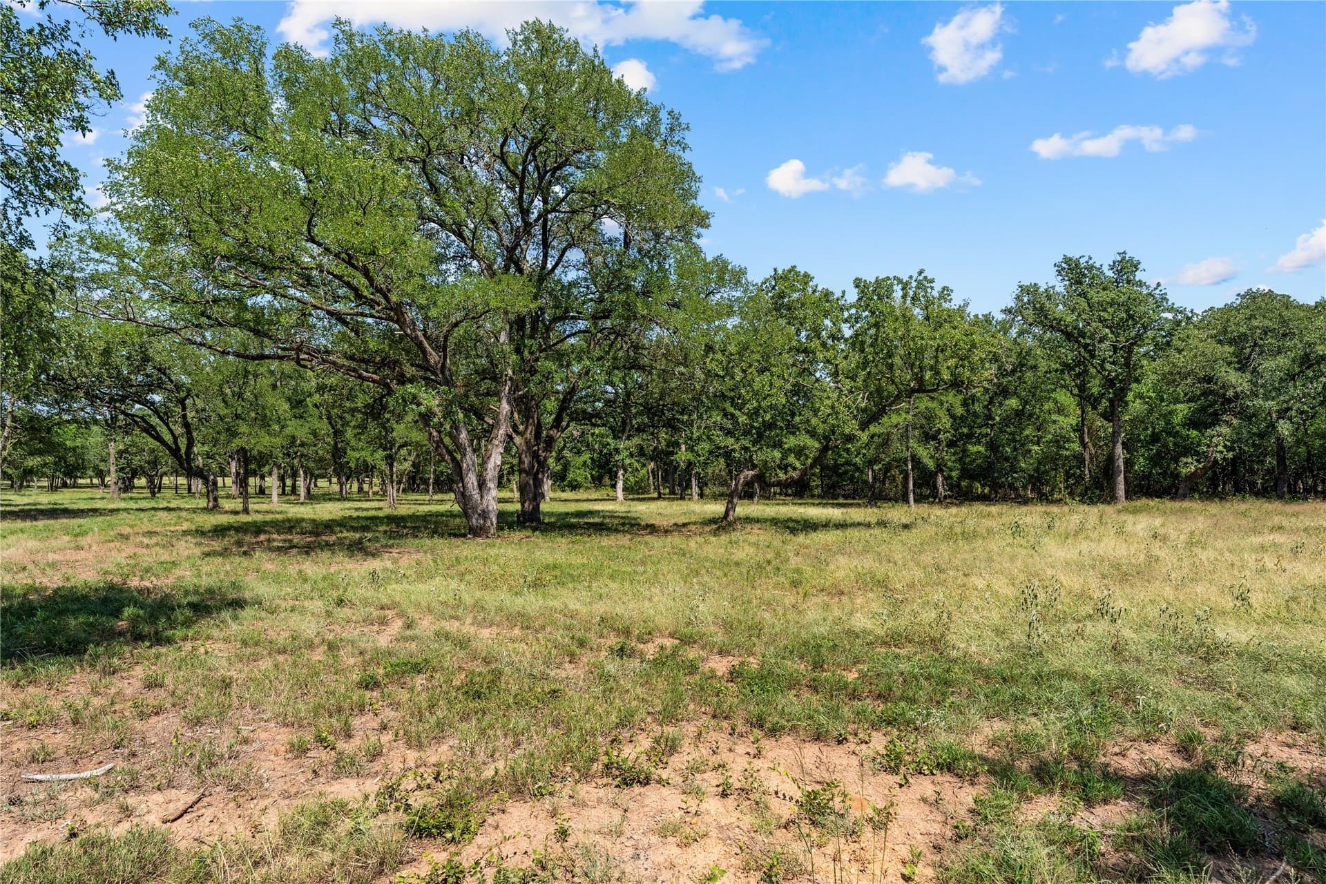 3.31 acres in Hill County - photo 3