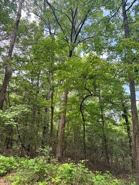 0.79 acres in Texas County featured view