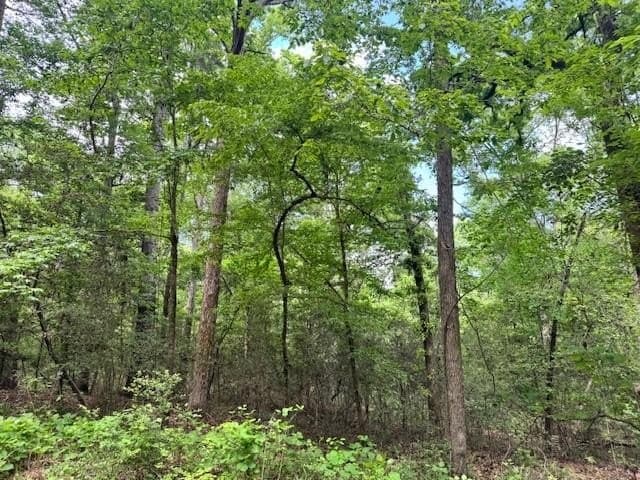 0.79 acres in Texas County