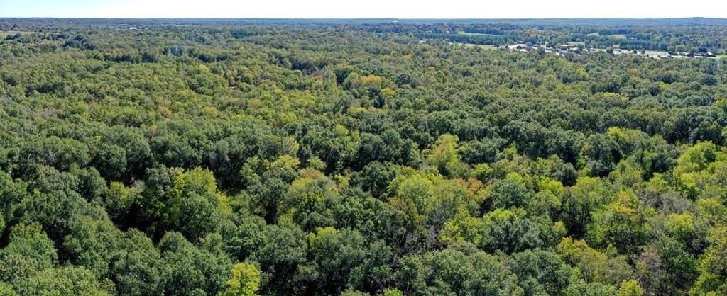 25.52 acres in Henderson County