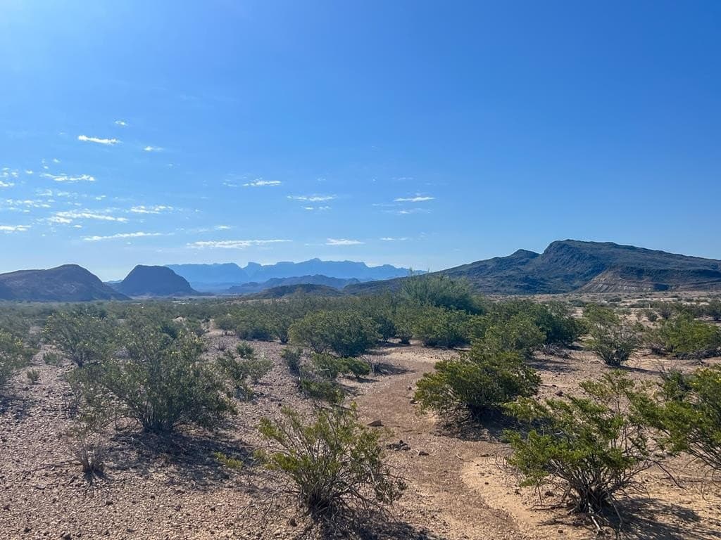 40 acres in Brewster County