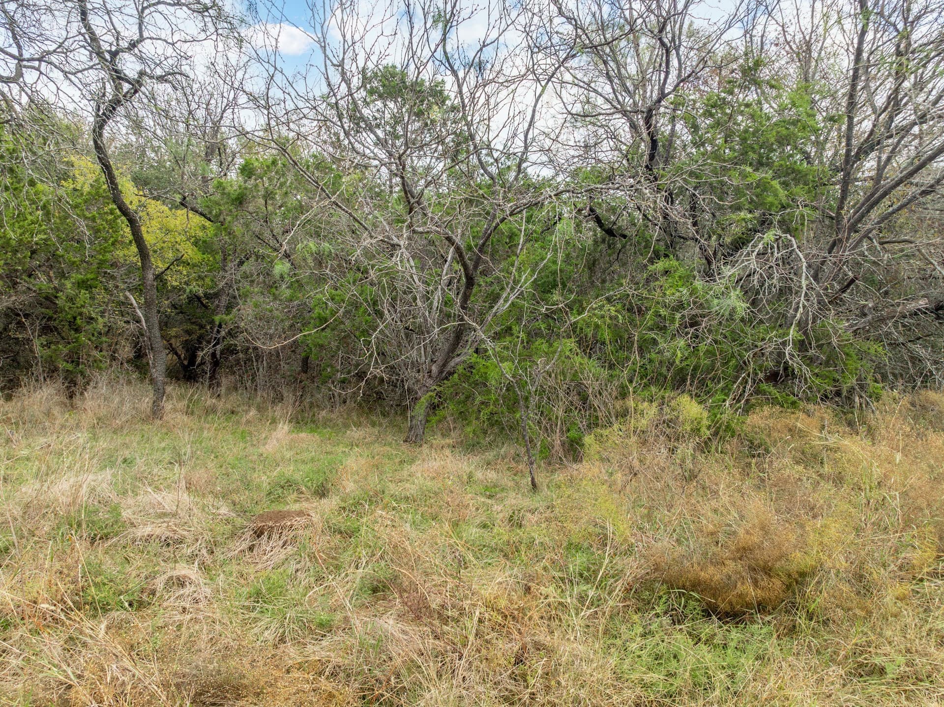 0.15 acres in Hill County - photo 6