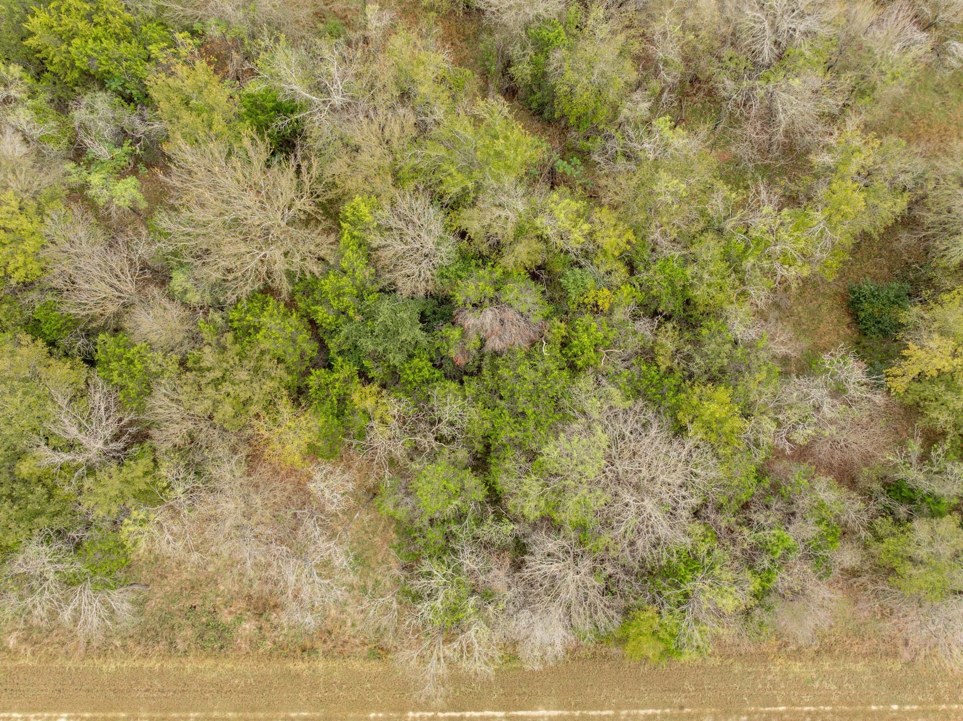 0.15 acres in Hill County gallery image 3
